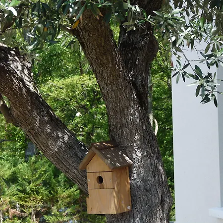 Ibis Ξενοδοχείο 3*