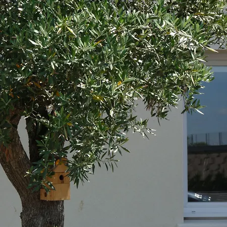 Ibis 3* Μοντωμπάν