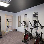 Ibis 3*
