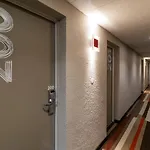Ibis