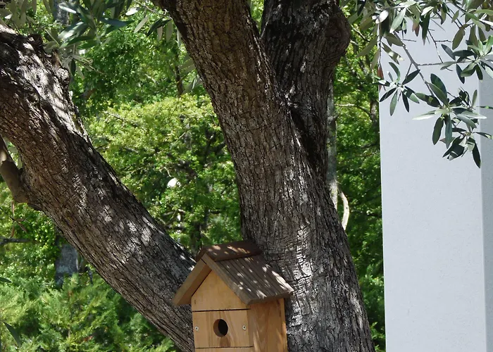 蒙托邦宜必思酒店 酒店 3*