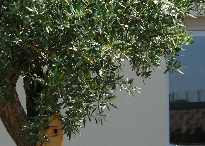 Ibis 3* Μοντωμπάν